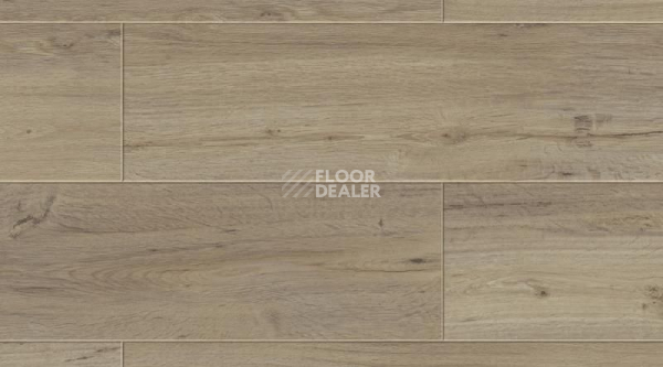 Кварцвиниловые полы Creation 70 0556 Clifton фото 1 | FLOORDEALER